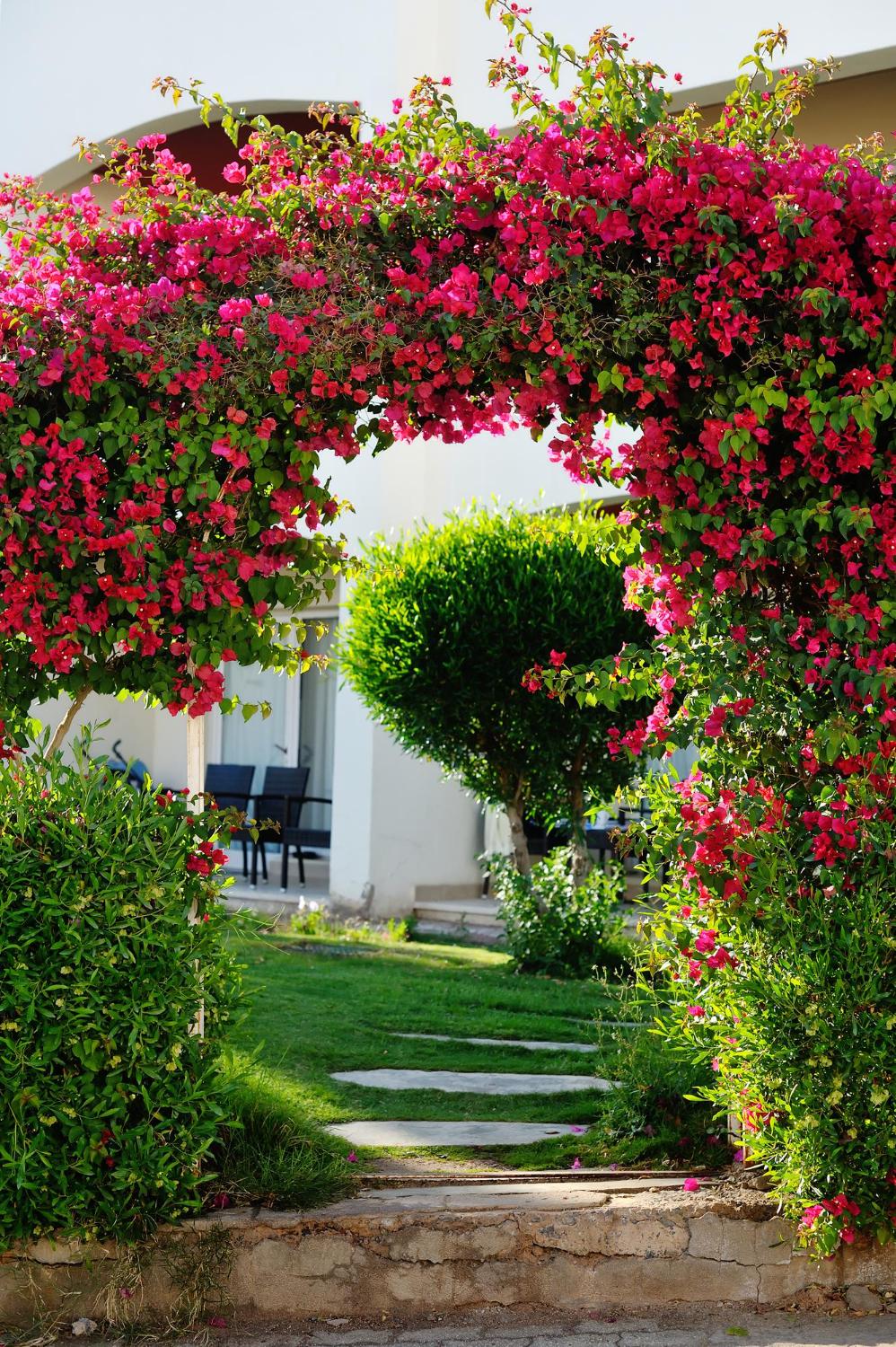 hermoso-arco-flores-rojas